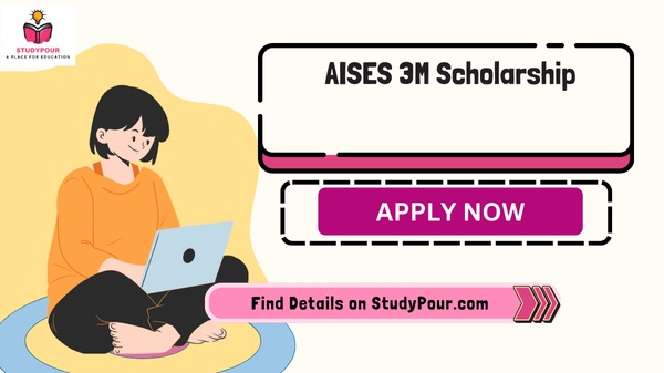 AISES 3M Scholarship