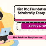 Bird Dog Foundation College Scholarship Essay Contest