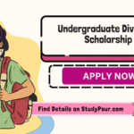 Undergraduate Diversity Scholarship