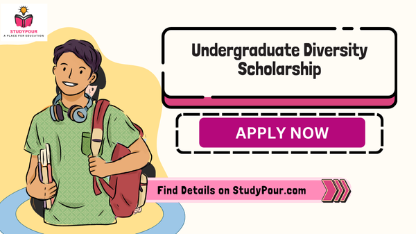 Undergraduate Diversity Scholarship