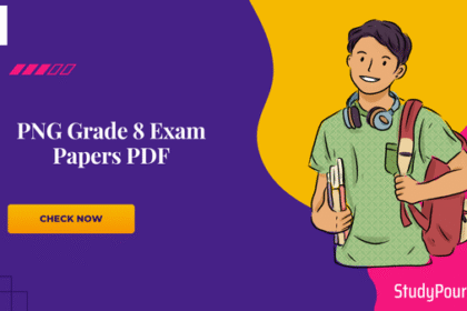 PNG Grade 8 Exam Papers PDF