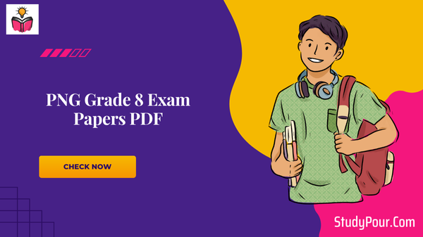 PNG Grade 8 Exam Papers PDF